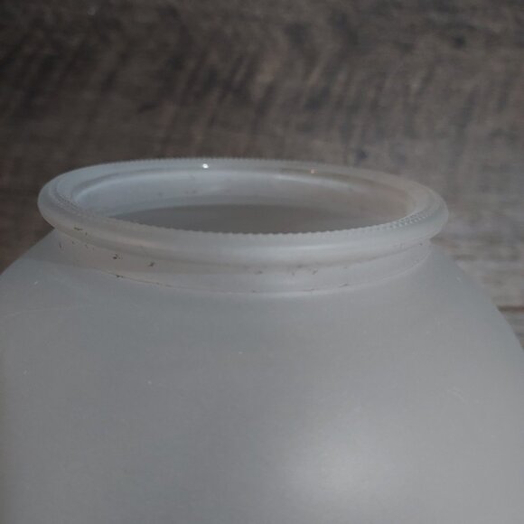 Lamp Shade Frosted Glass Ceiling Light Fixture Globe Stem Berries 3.25" Fit. - Picture 10 of 11